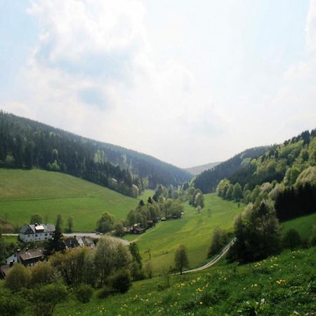 Large Holiday Home In Willingen With Private Garden And Several Terraces Exterior photo