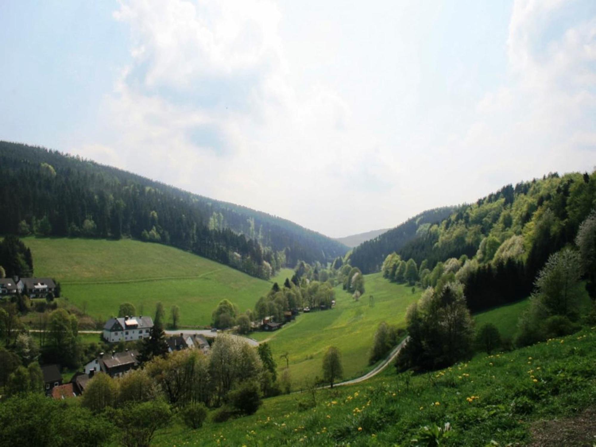 Large Holiday Home In Willingen With Private Garden And Several Terraces Exterior photo