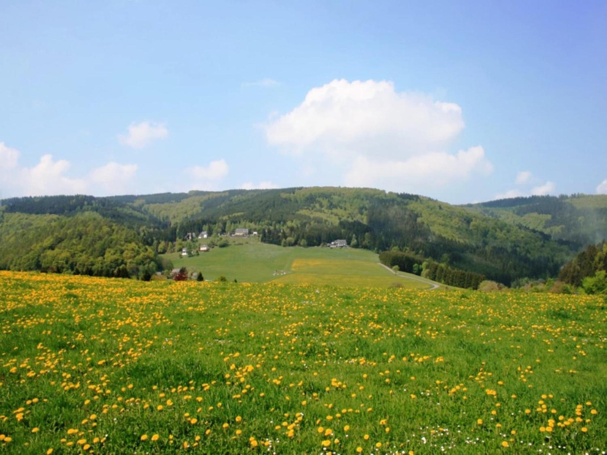 Large Holiday Home In Willingen With Private Garden And Several Terraces Exterior photo