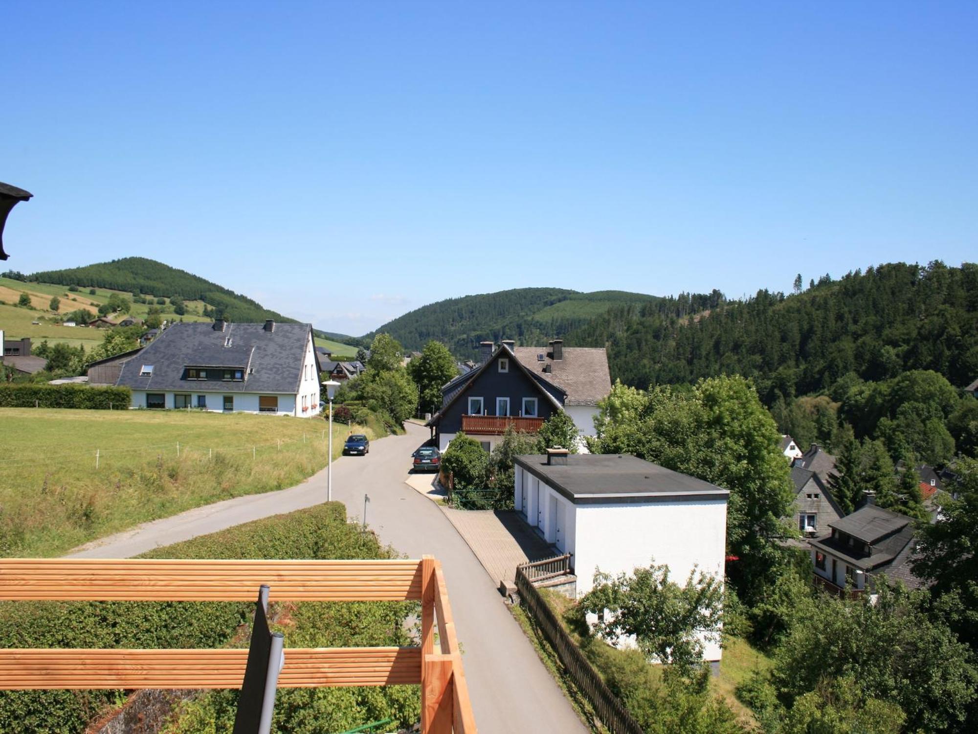Large Holiday Home In Willingen With Private Garden And Several Terraces Exterior photo