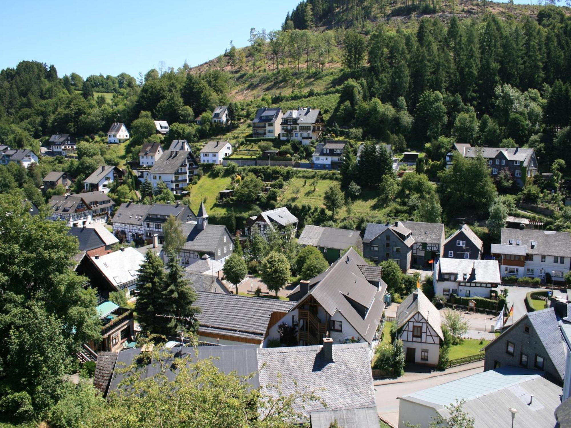 Large Holiday Home In Willingen With Private Garden And Several Terraces Exterior photo