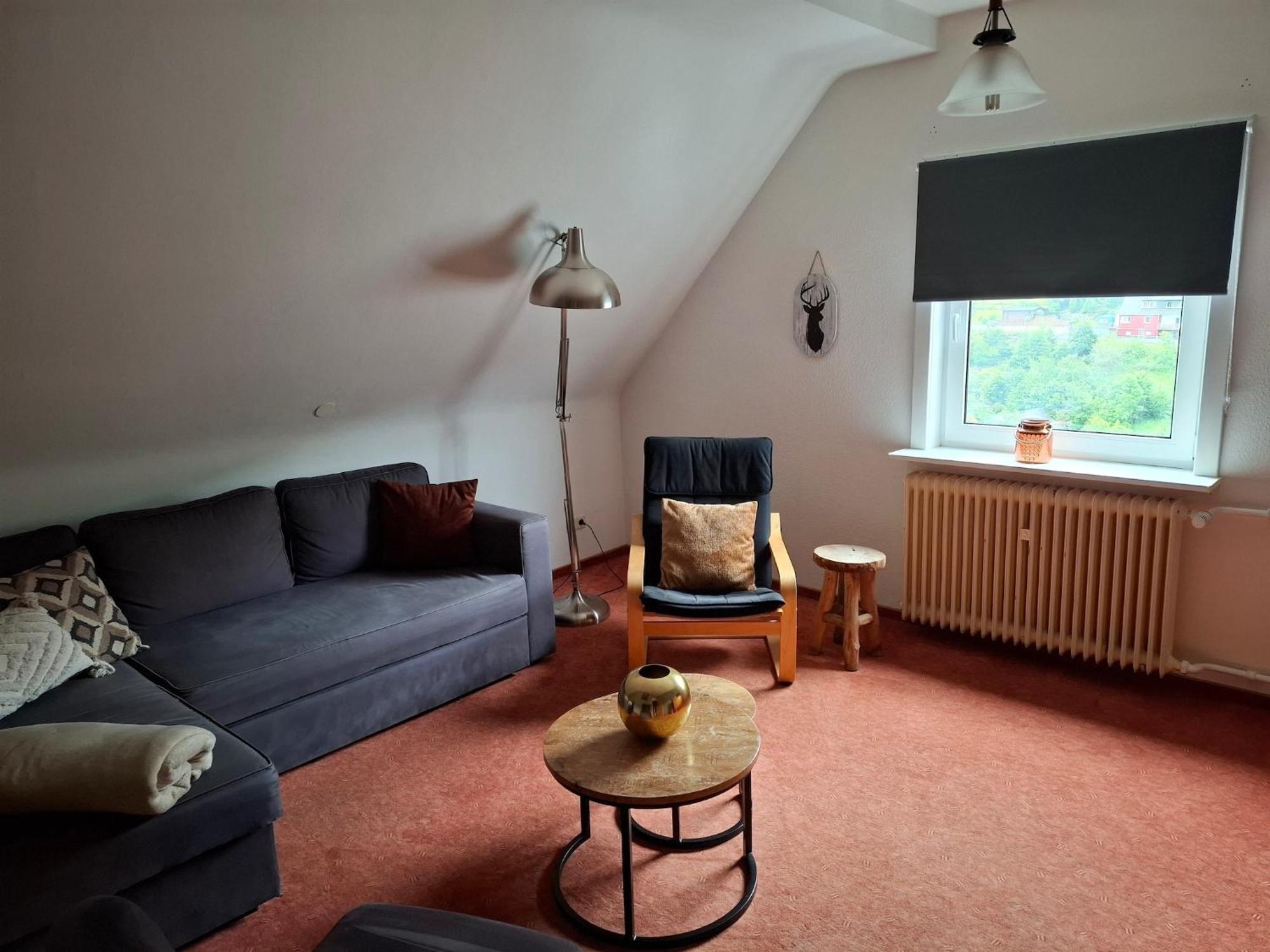 Large Holiday Home In Willingen With Private Garden And Several Terraces Exterior photo
